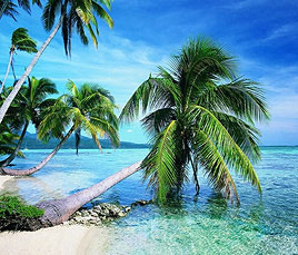 This is the caption International Holidays